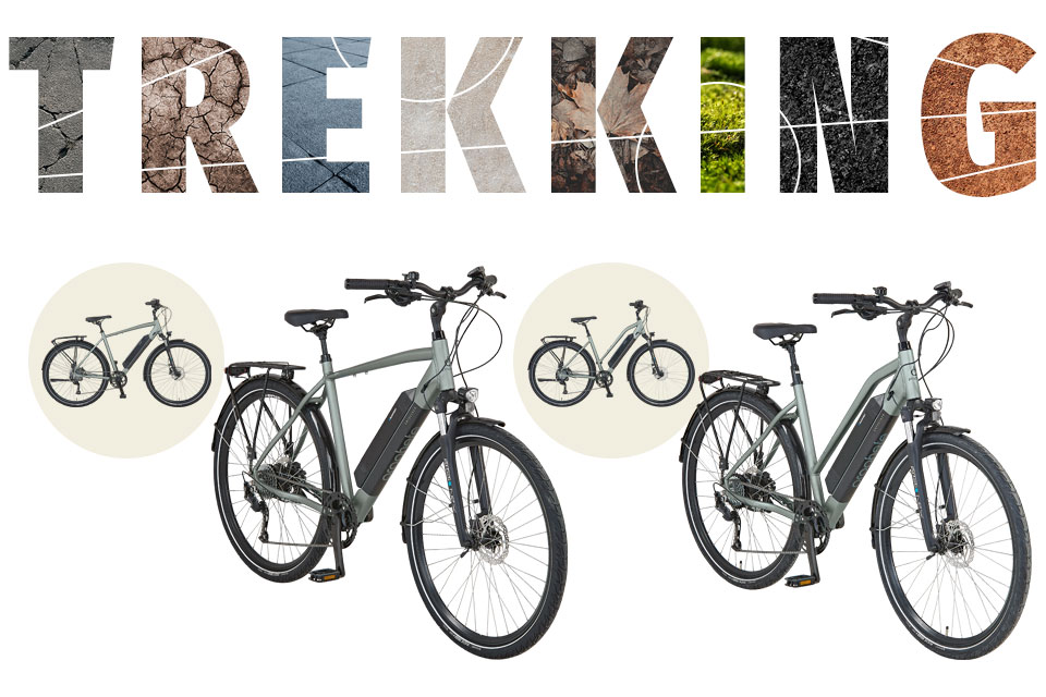 Gleiche Ausstattung bei unterschiedlichem Rahmen - PROPHETE Trekking E-Bikes