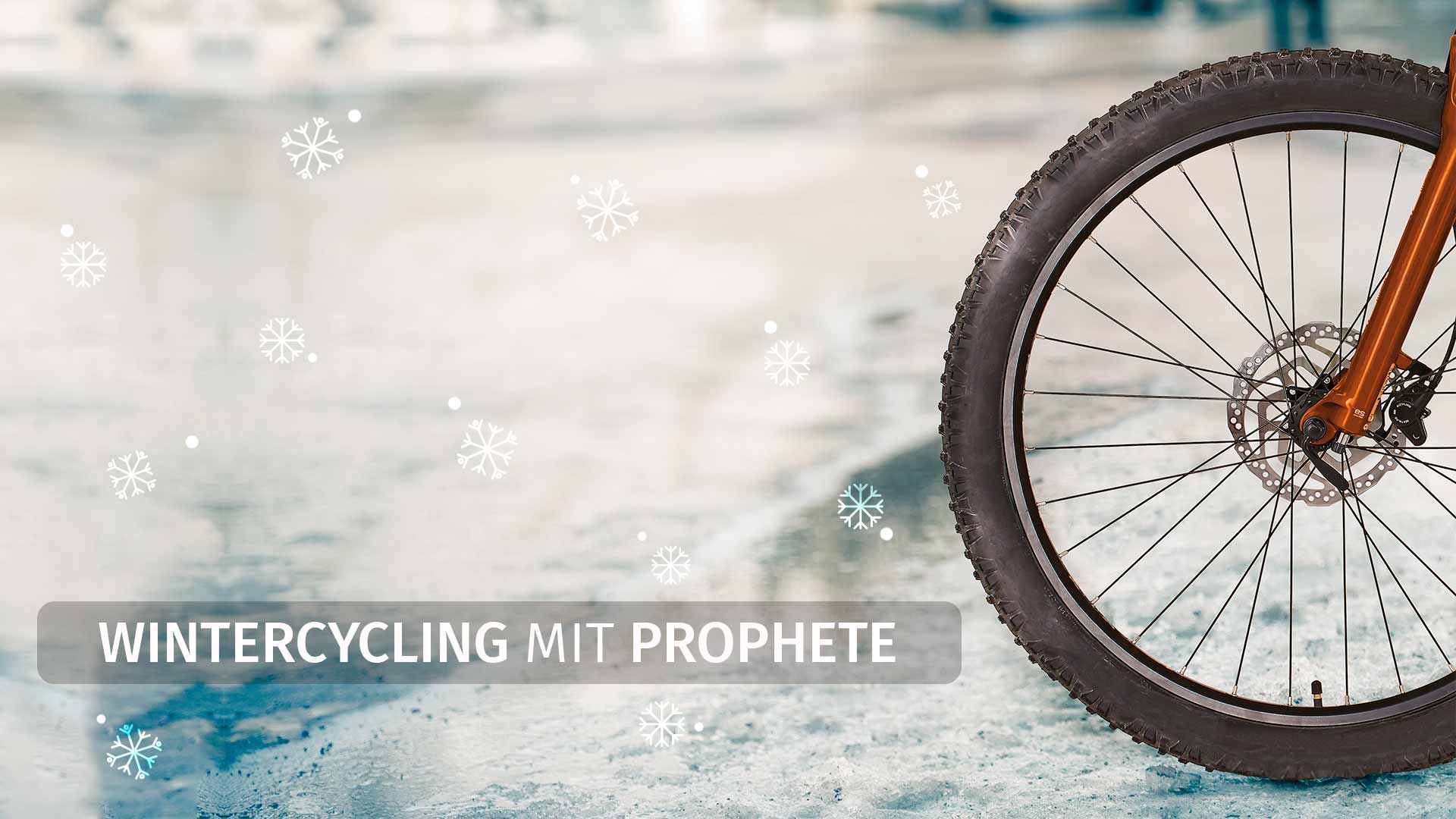Wintercycling mit Prophete - Bleiben Sie sicher